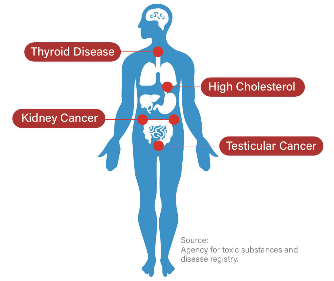 The National Institutes of Health in the United States state that it takes an average of 3 to 7 years for PFAS to be metabolized in the body.